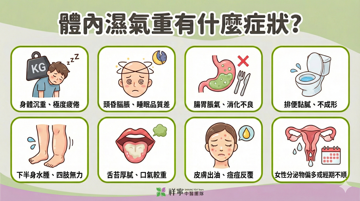 體內濕氣重有什麼症狀?中醫解析水腫、疲倦、排便黏膩與皮膚出油等常見徵兆