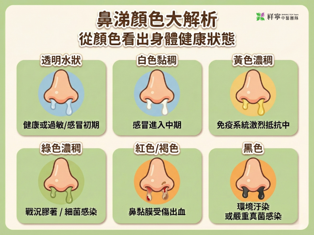 整理黃綠色鼻涕與白色分泌物差異，觀察顏色變化了解感冒進程。