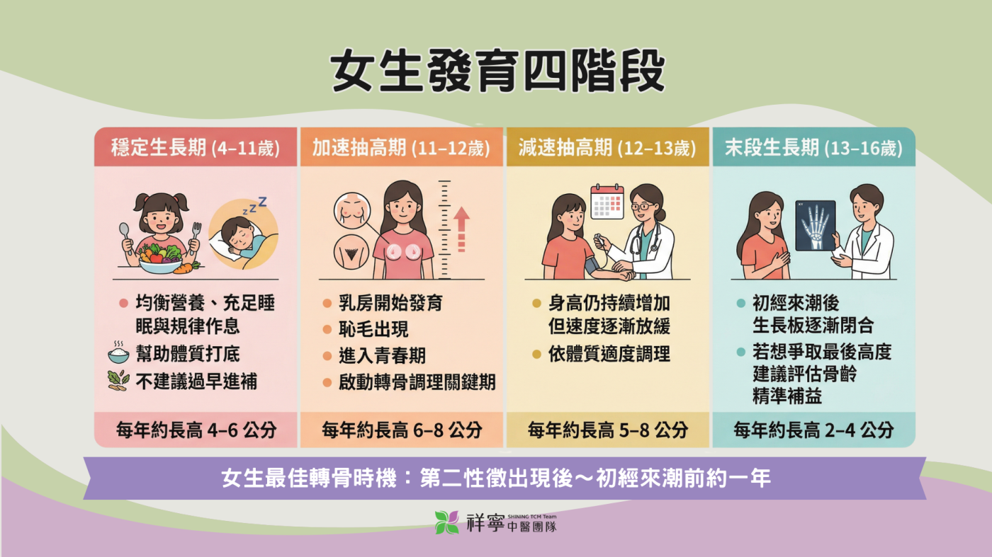 女生發育四階段圖解，掌握第二性徵出現後的轉骨調理黃金期。