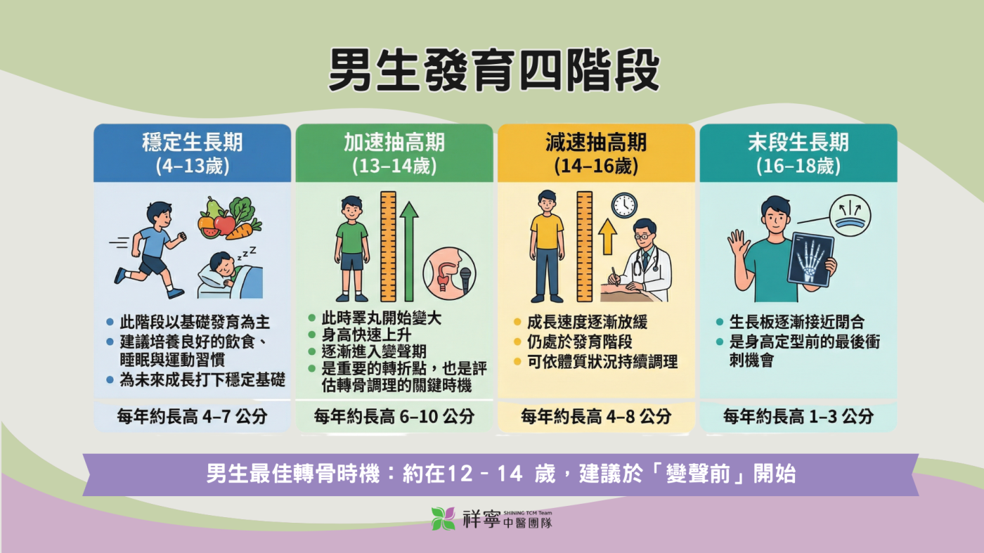 男生發育四階段圖解，掌握第二性徵出現後的轉骨調理黃金期。