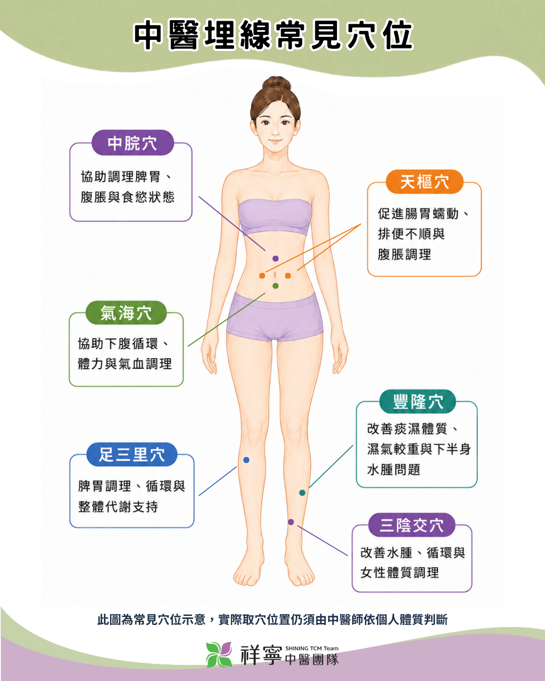 埋線是什麼穴位說明圖，整理中醫埋線常見取穴位置與代謝、循環、排便及體質調理關聯。