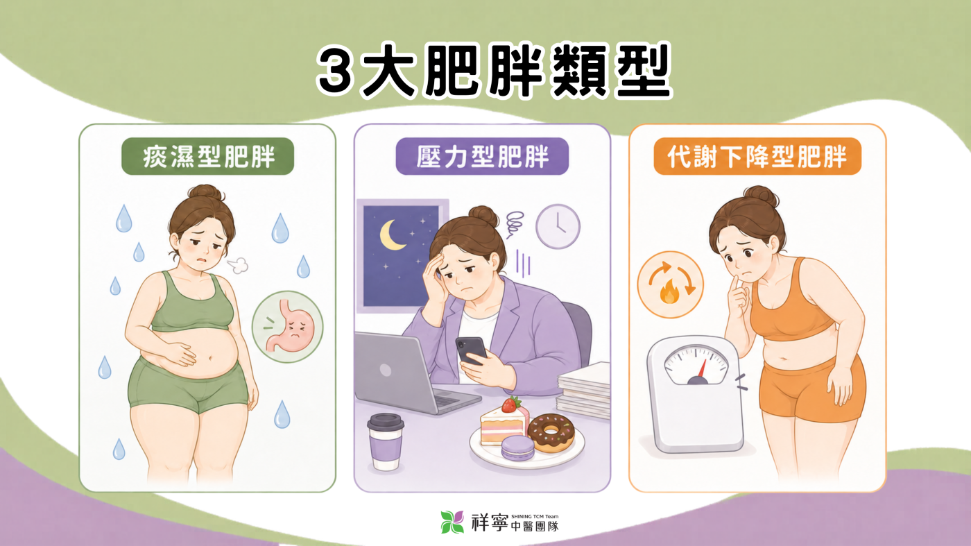 中醫減重肥胖類型說明圖,整理痰濕型、壓力型與代謝下降型肥胖,幫助評估適合的調理方向。