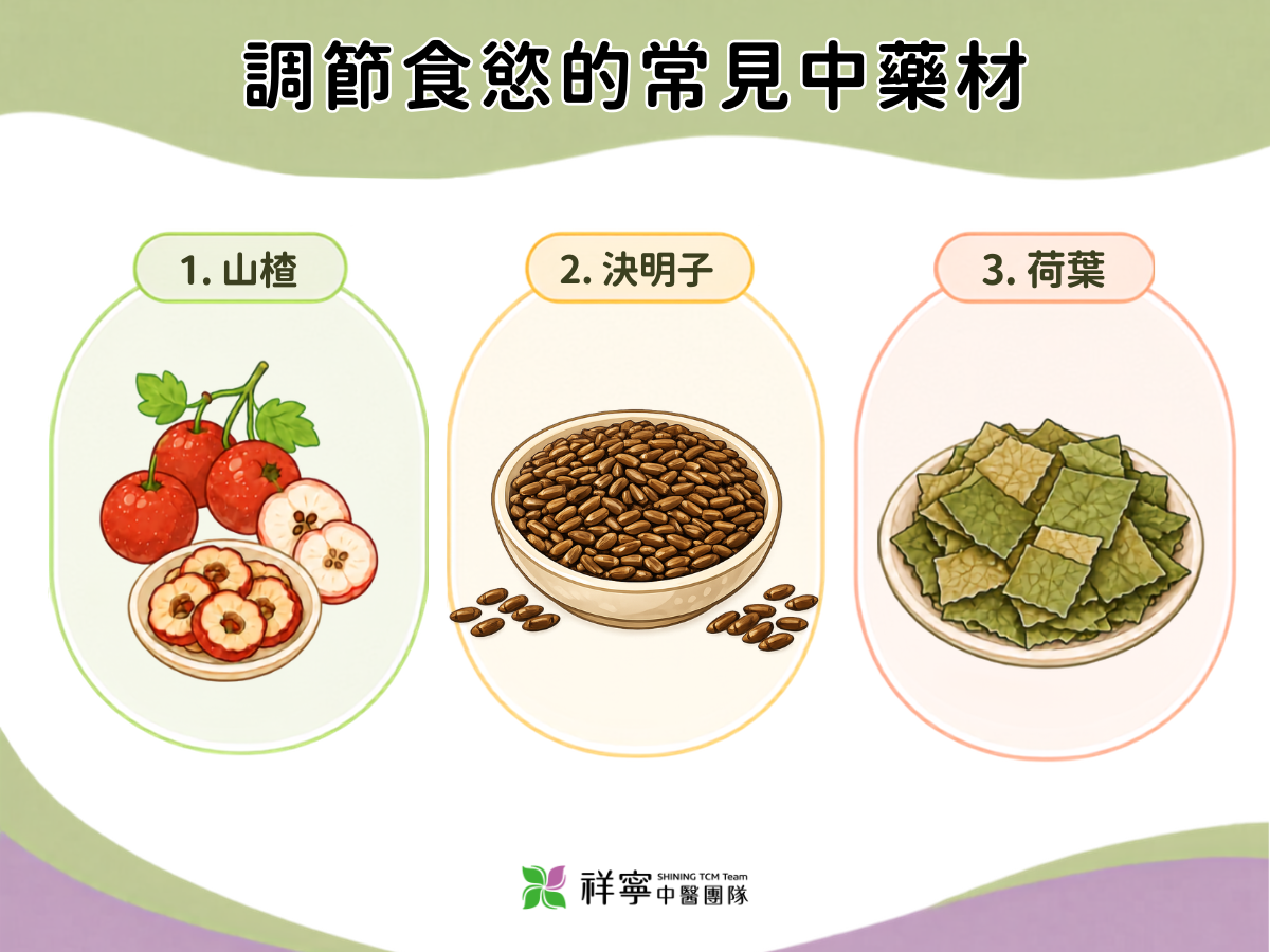調節食慾常見中藥材說明圖，整理山楂、決明子與荷葉等中醫調理食慾的應用。
