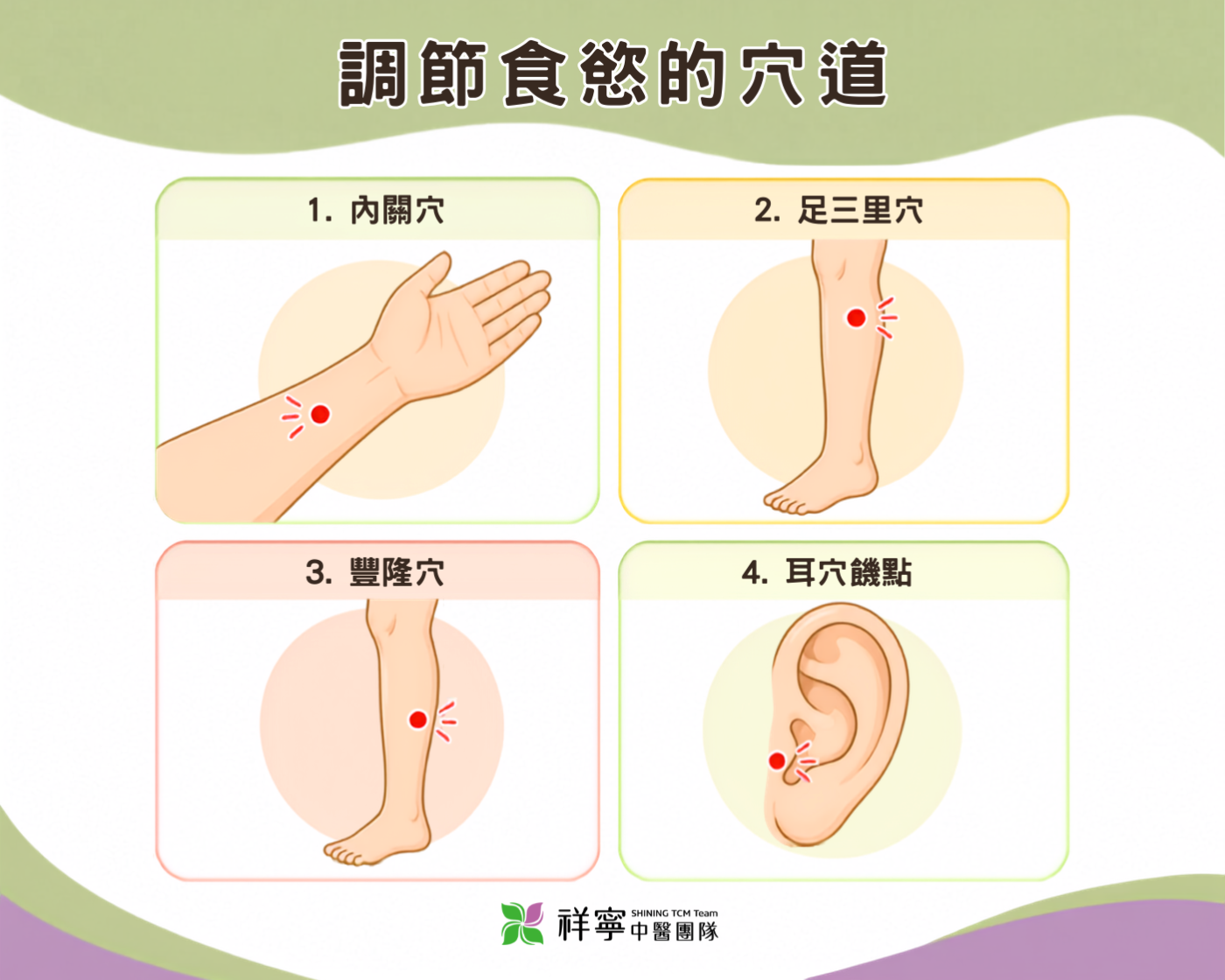 調節食慾穴道說明圖，整理內關穴、足三里穴、豐隆穴與耳穴饑點等常見穴位。