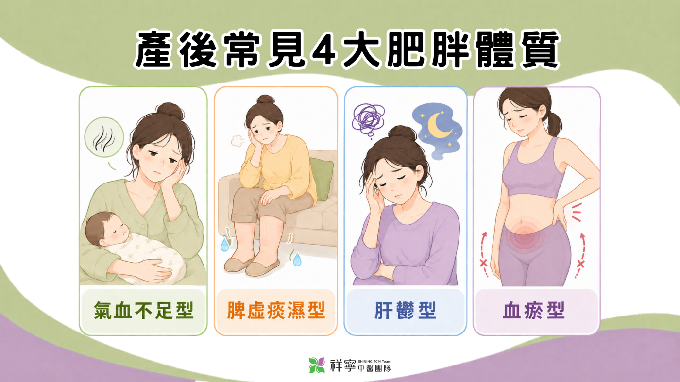 產後肥胖體質說明圖，整理氣血不足、脾虛痰濕、肝鬱與血瘀等常見產後體質差異。
