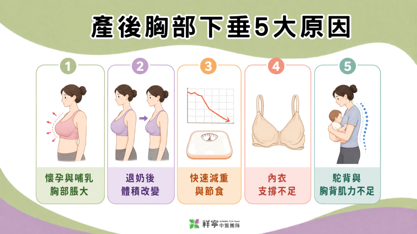 產後胸部下垂原因說明圖,整理懷孕哺乳、退奶後體積改變、快速減重與支撐不足等因素。