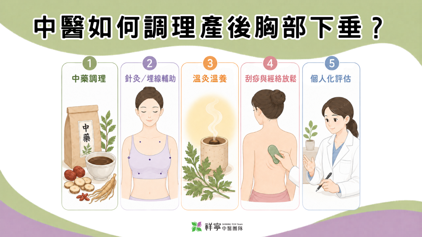 產後胸部下垂調理方式說明圖,整理中藥、針灸埋線、溫灸、刮痧與個人化評估等方向。