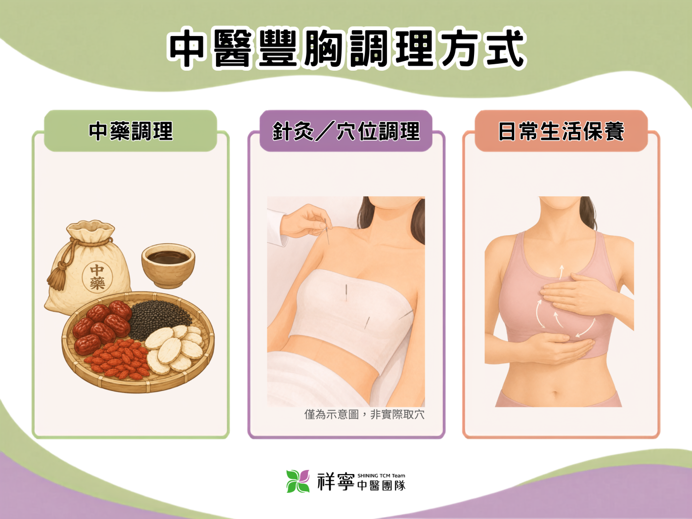 中醫豐胸調理方式說明圖，整理中藥調理、針灸穴位調理與日常生活保養等方向。