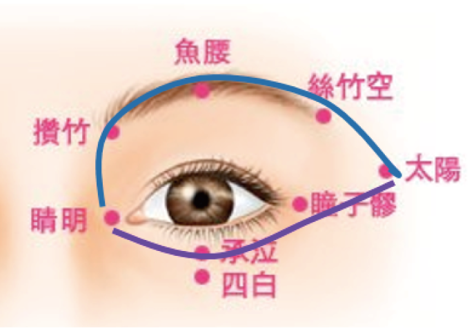 成人視力保健目標：度數不增加 & 保護眼底視網膜